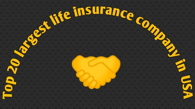 The Best Life Insurance Companies In USA