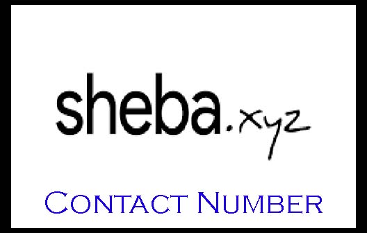 Sheba Delivery Courier Service Contact Number & All Branch List