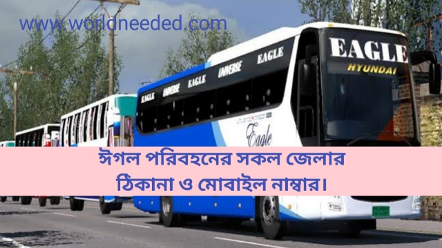 Eagle Paribahan All-District Counter Name, Address, and Mobile Number